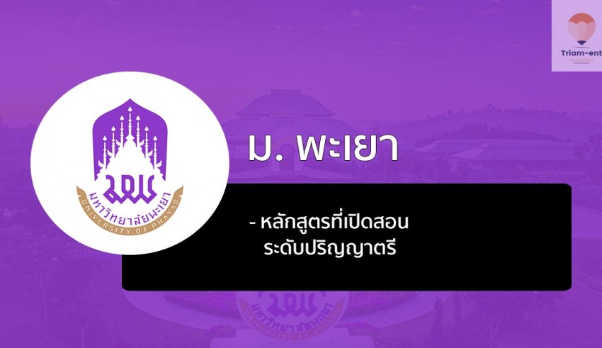 พะเยา หลักสูตรแนะนำ
