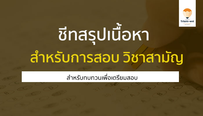 ชีทสรุป ทุกวิชา 9 วิชาสามัญ สำหรับน้องๆ เตรียมสอบเลยจ้า