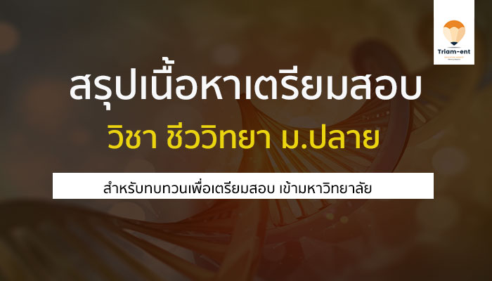 รวมสรุปเนื้อหา ชีววิทยา ม.ปลาย เพื่อเตรียมสอบเข้ามหาวิทยาลัย !!