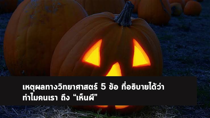 เห็นผี ตามหลักวิทยาศาสตร์