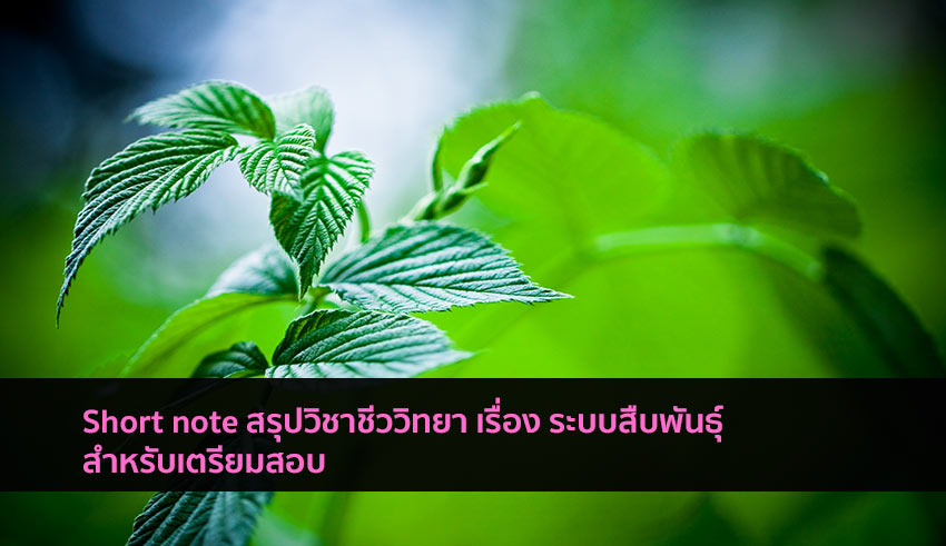 ระบบสืบพันธุ์ สรุปชีววิทยา