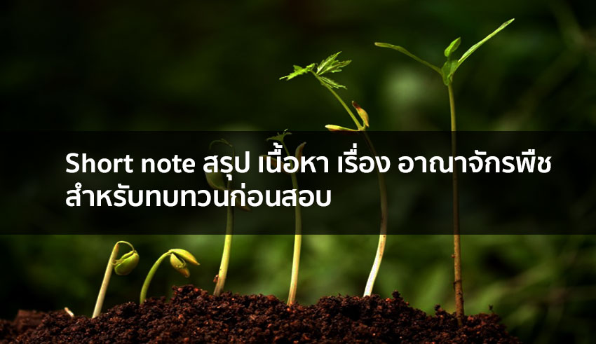 Short note สรุป เรื่อง อาณาจักรพืช สำหรับทบทวนก่อนสอบ