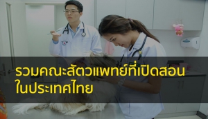 สัตวแพทยศาสตร์ รวมมหาลัยที่เปิดสอน