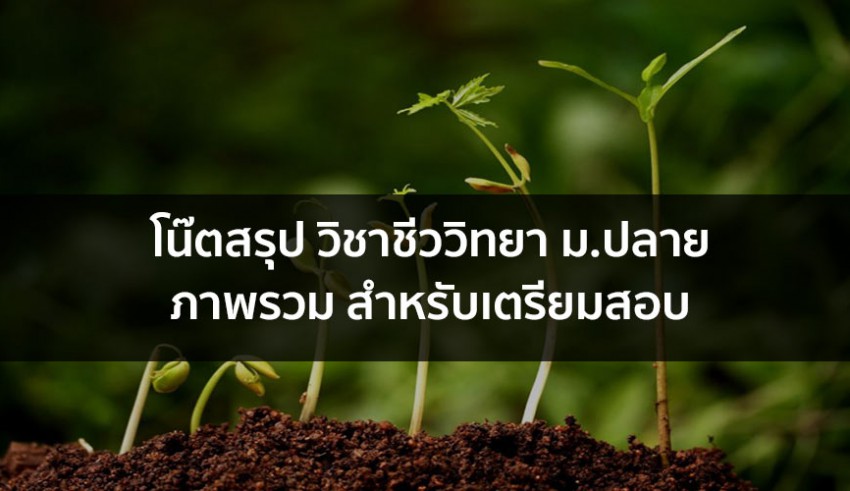 ชีววิทยา โน๊ตสรุป ภาพรวม