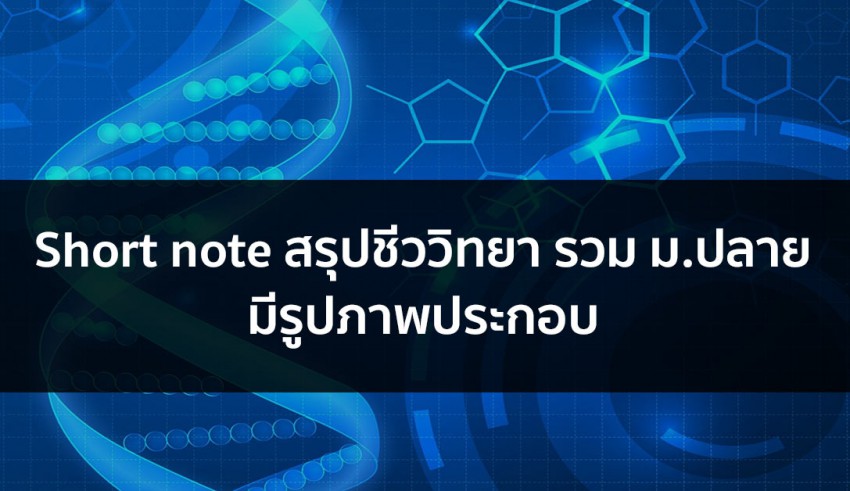 วิชาชีววิทยา สรุปโน๊ตรวม