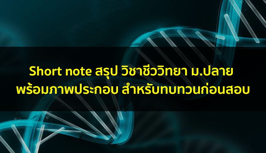 วิชาชีววิทยา สรุป