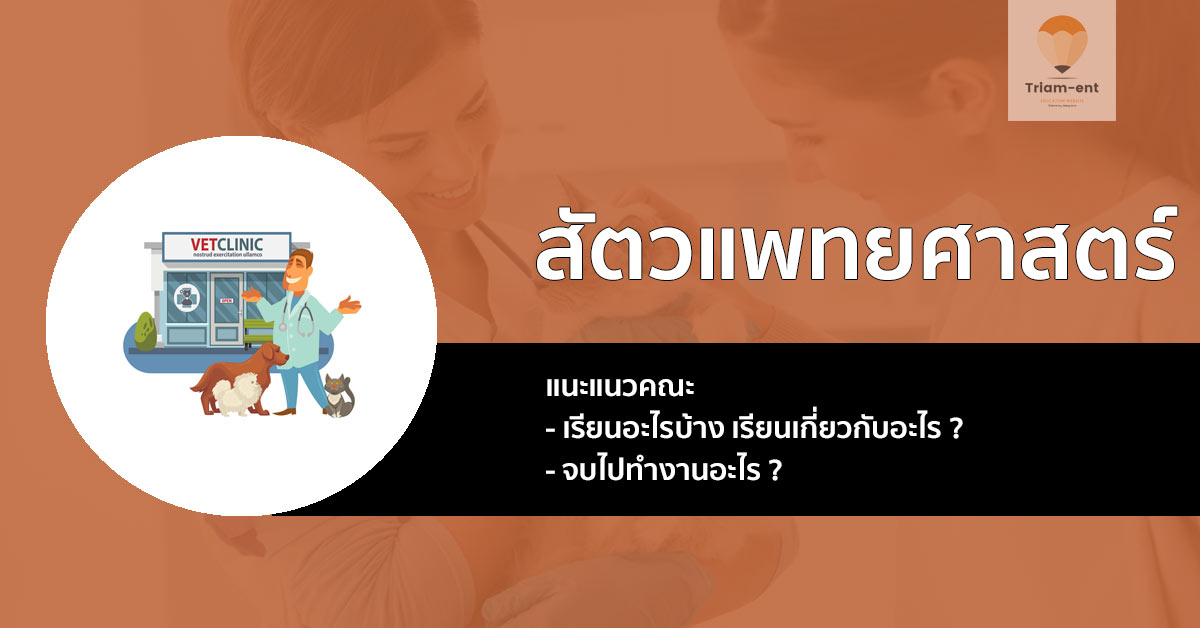 คณะ สัตวแพทยศาสตร์ สอบอะไร เรียนอะไร มาเช็คข้อมูลกัน