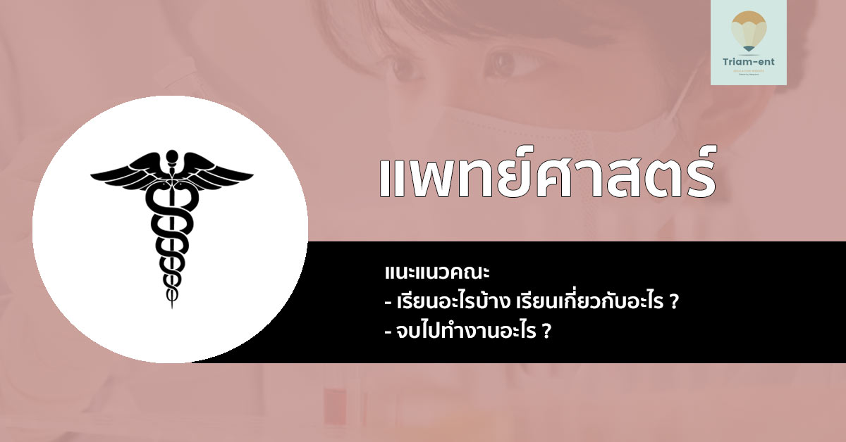 คณะแพทยศาสตร์ เรียนอะไร เจออะไรบ้าง สอบอะไร มาเช็คข้อมูลกัน