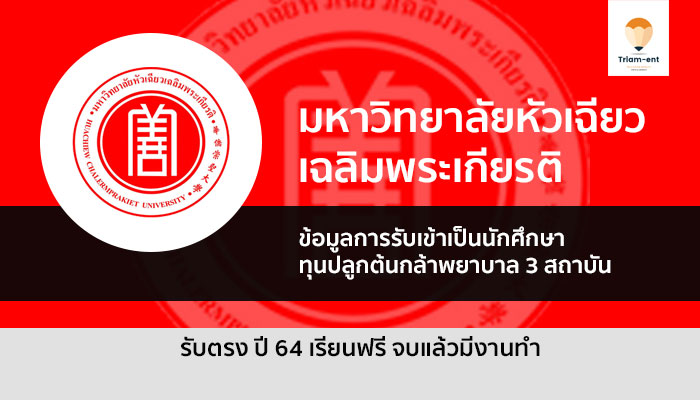 รับตรง หัวเฉียว 64 ทุน