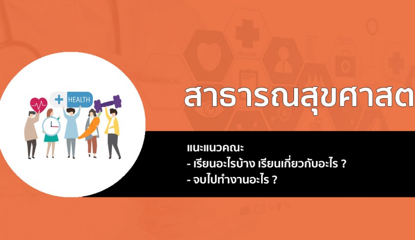 สาธารณสุขศาสตร์ แนะแนว