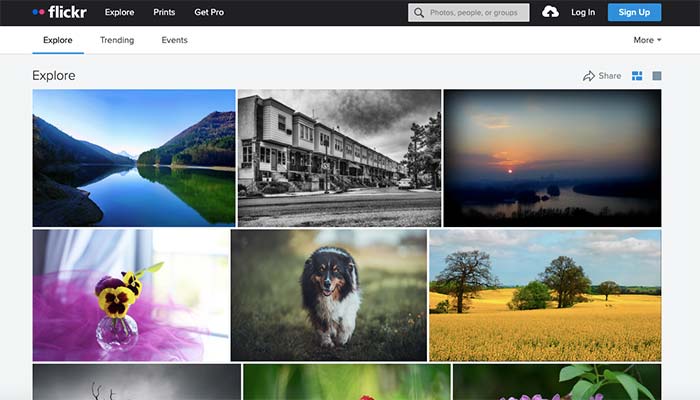 portfolio online Flickr