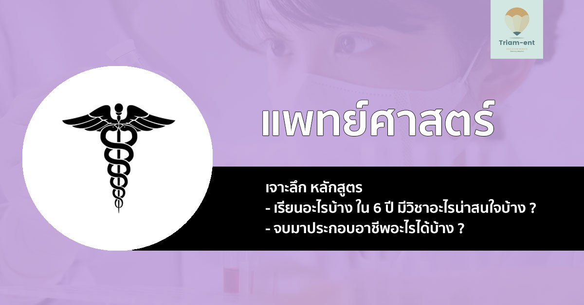 แพทยศาสตรบัณฑิต เจาะลึก