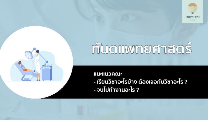 ทันตแพทยศาสตรบัณฑิต เจาะลึกหลักสูตร