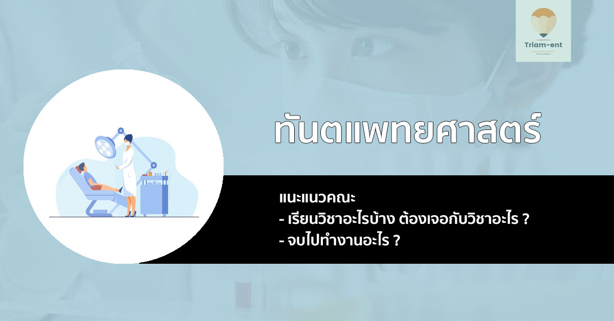 ทันตแพทยศาสตรบัณฑิต เจาะลึกหลักสูตร