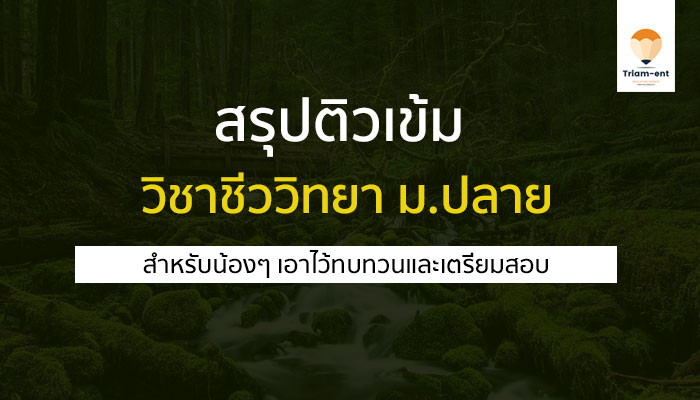 สรุปเนื้อหาติวเข้ม วิชาชีววิทยา ม.ปลาย สำหรับทบทวนเตรียมสอบ