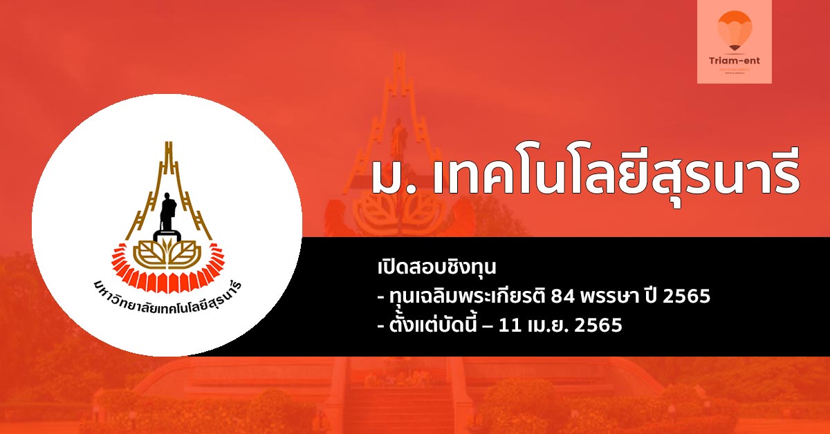 มทส. ทุนเฉลิมพระเกียรติ 84 พรรษา ปี 2565