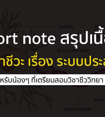 ระบบประสาท ชีววิทยา สรุป