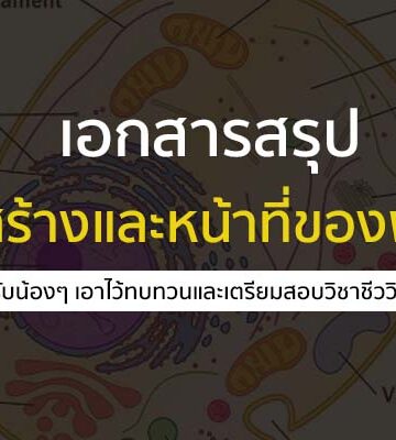 โครงสร้างและหน้าที่ของพืชดอก สรุป