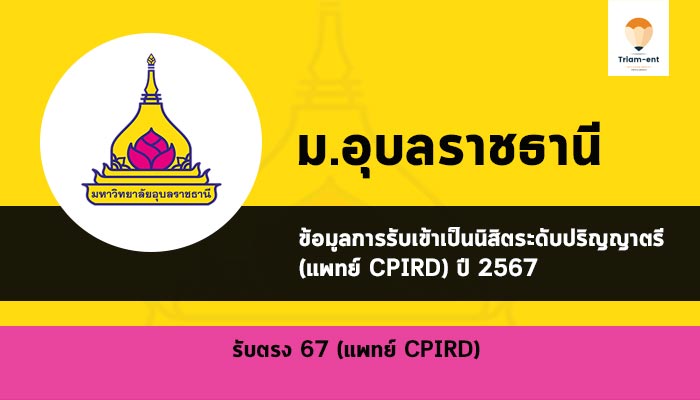 แพทย์ ชนบท อุบล ปี 2567