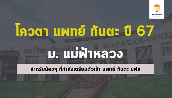 โควตา ทันตะ แม่ฟ้าหลวง 67